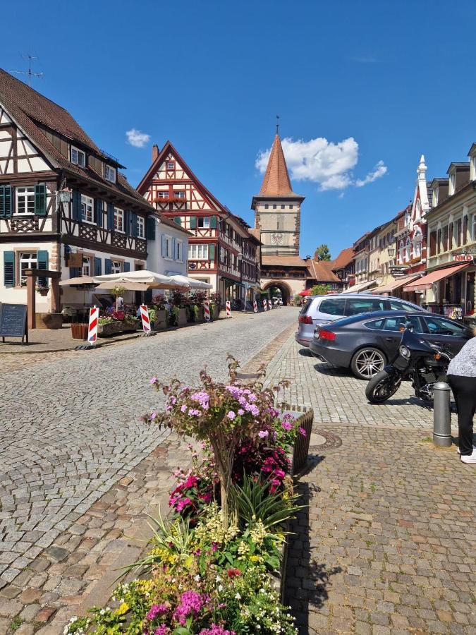 Ferienwohnung Blumenfeld Gengenbach Luaran gambar
